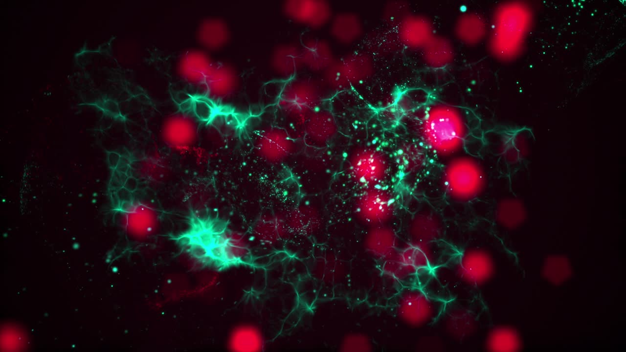 colores completos explosión de partículas en el video de stock pavo - país, explosión, partícula, círculo, brillante