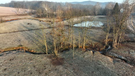 meadow pasture covered in winter frost