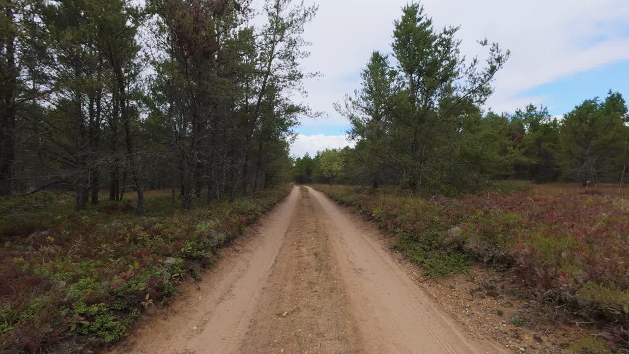 POV shot of driving down a 2 track road lined with pines in northern Michigan at Guides Rest on the Au Sable River,