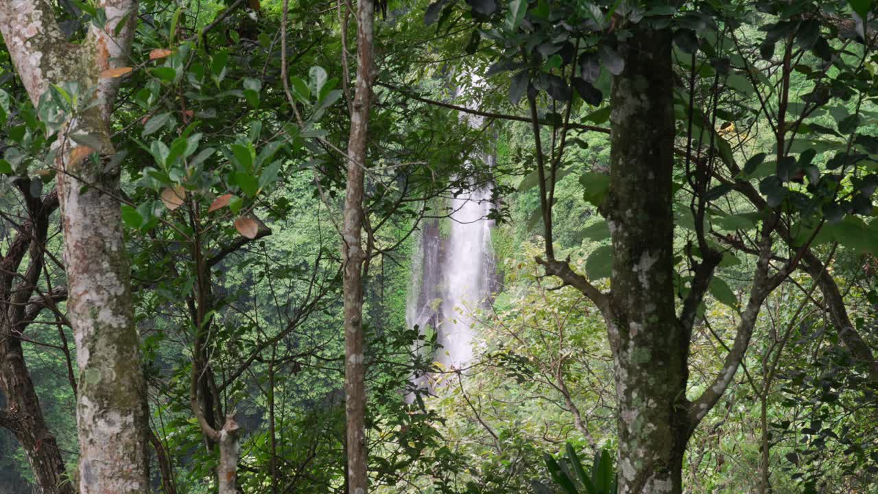 Melanting waterfall Bali Indonesia water cascade view between forest tree