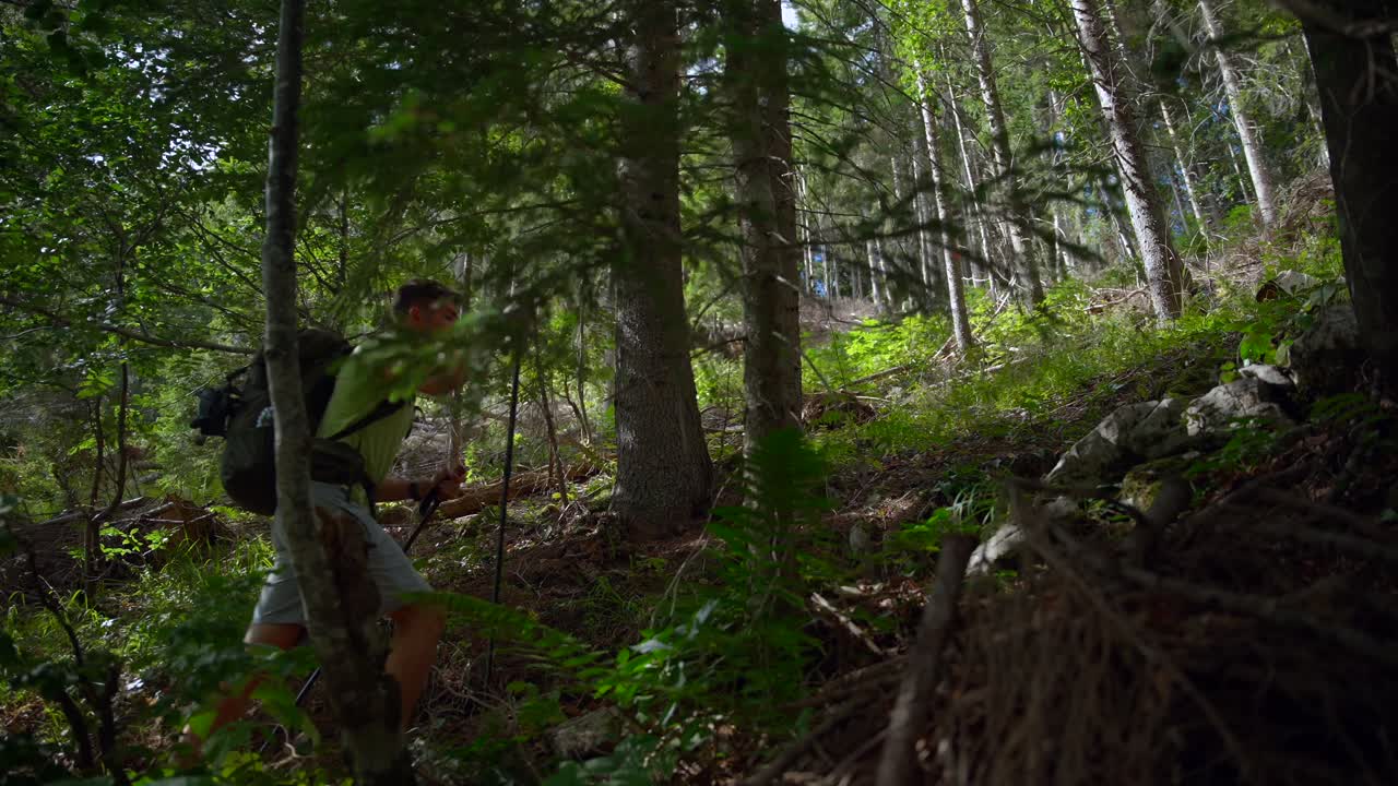 Man hiking in the forest to the mountain