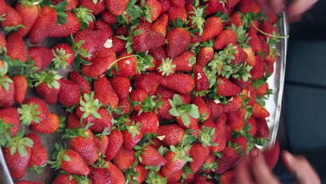 fresh strawberries at the market