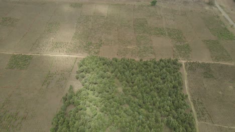 Luftaufnahme,-Die-über-Ländlichem,-Unbebautem-Afrikanischen-Grasland-Aus-Der-Vogelperspektive-Fliegt