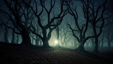 mysterious glowing light in a dark and eerie forest