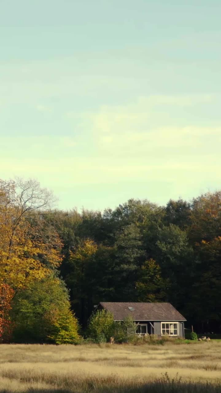 숲 속의 가을 오두막집