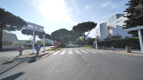 la grande-motte city south of france palm and pine trees along the road driving