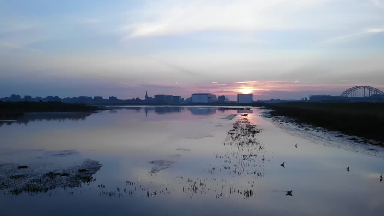 새들은 물이 부족한 동안 먹이를 찾기 위해 풀과 진흙을 걷고 있습니다.