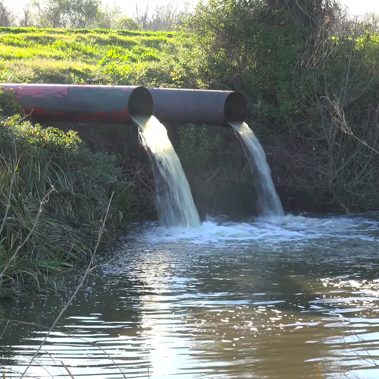 Contaminated water is dumped into a waterway through industrial pipes 1