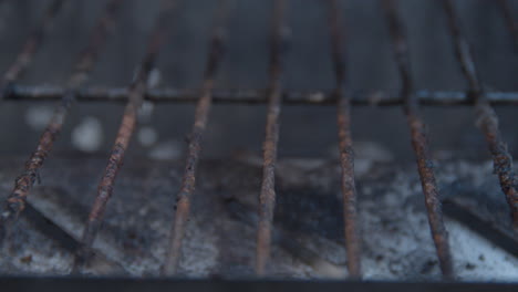 scrubbing barbecue roster with a steel brush - extreme close