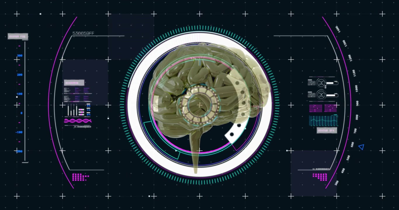 Animation of human brain, scope and data processing
