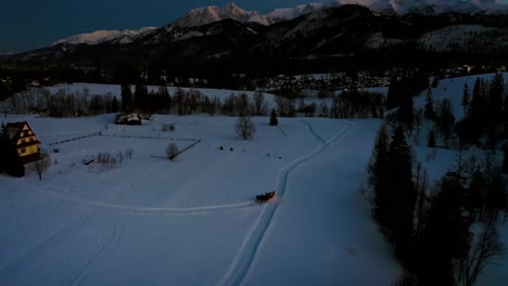 blue hour dusk horse sleigh ride - drone aerial