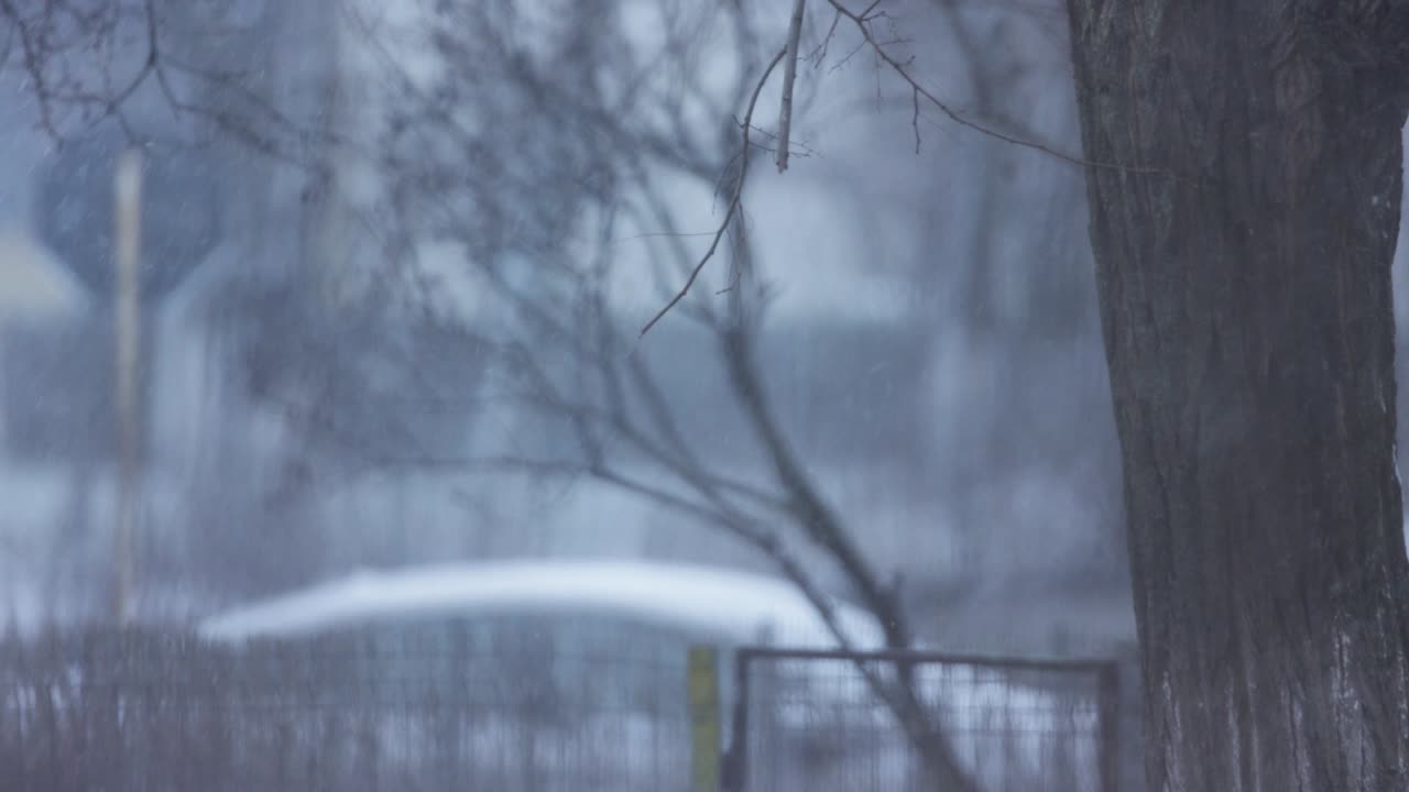 교통량이 많은 도시 공원에서 눈보라 전망