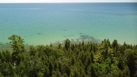 costa del lago aéreo con bosque