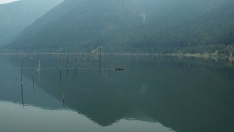 aerial, earthquake lake in montana on a gloomy evening day