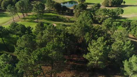 Volar-Sobre-Los-Campos-Verdes-Del-Campo-De-Golf-Y-El-Lago