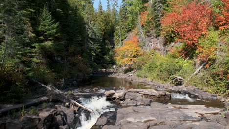 beautiful northern river with fall colors and pine trees