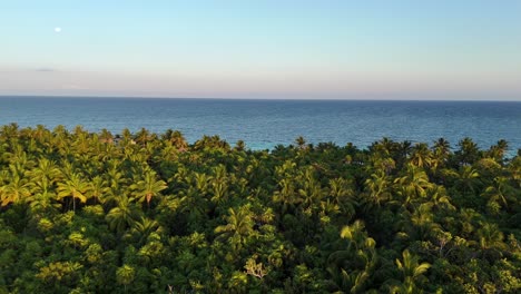 tulum, mexico: tropical paradise beach with resorts - aerial flyover