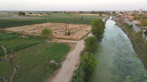 Drone-view-of-village-life-in-Punjab,-Pakistan