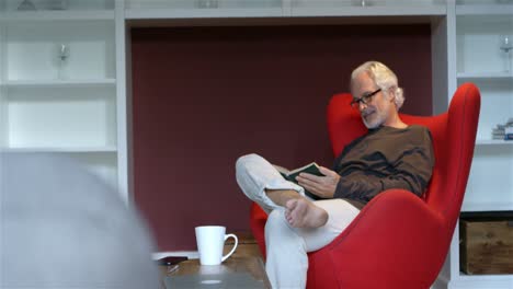 hombre mayor leyendo un libro en la sala de estar 4k