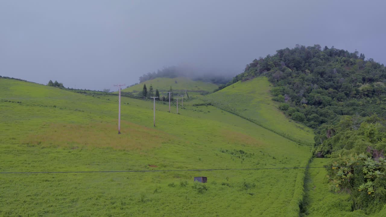 하와이 섬 마우이의 무성하고 구불구불한 녹색 언덕 풍경에 있는 전력선