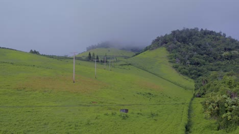 powerlines on a lush, rolling green hill landscape on the hawaiian island, maui