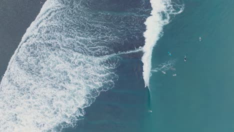 Top-Down-Slow-Motion-Drone-of-surfers-waiting-for-waves-at-low-tide-reef-with-deep-blue-water-at-Bingin-Beach,-Bali,-Uluwatu-Indonesia