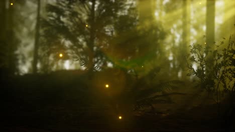 firefly in misty forest with fog