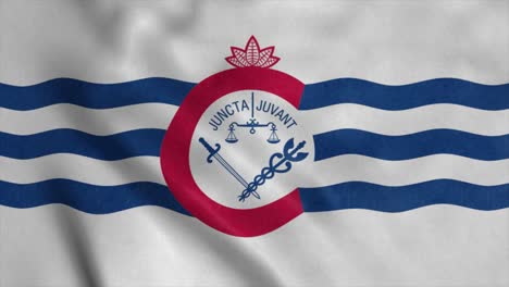 cincinnati ciudad de ohio bandera está ondeando en el viento