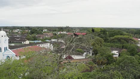 birds in dry and old tree, village of san martín - colombia, church in the background, with vegetation close to the population, catholic belief, aerial drone video