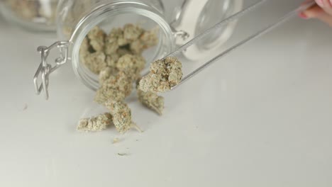cannabis bud in tweezers
