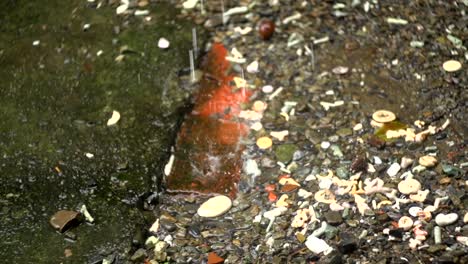 gotas de lluvia salpicando violentamente sobre pavimento roto con ladrillo rojo y guijarros