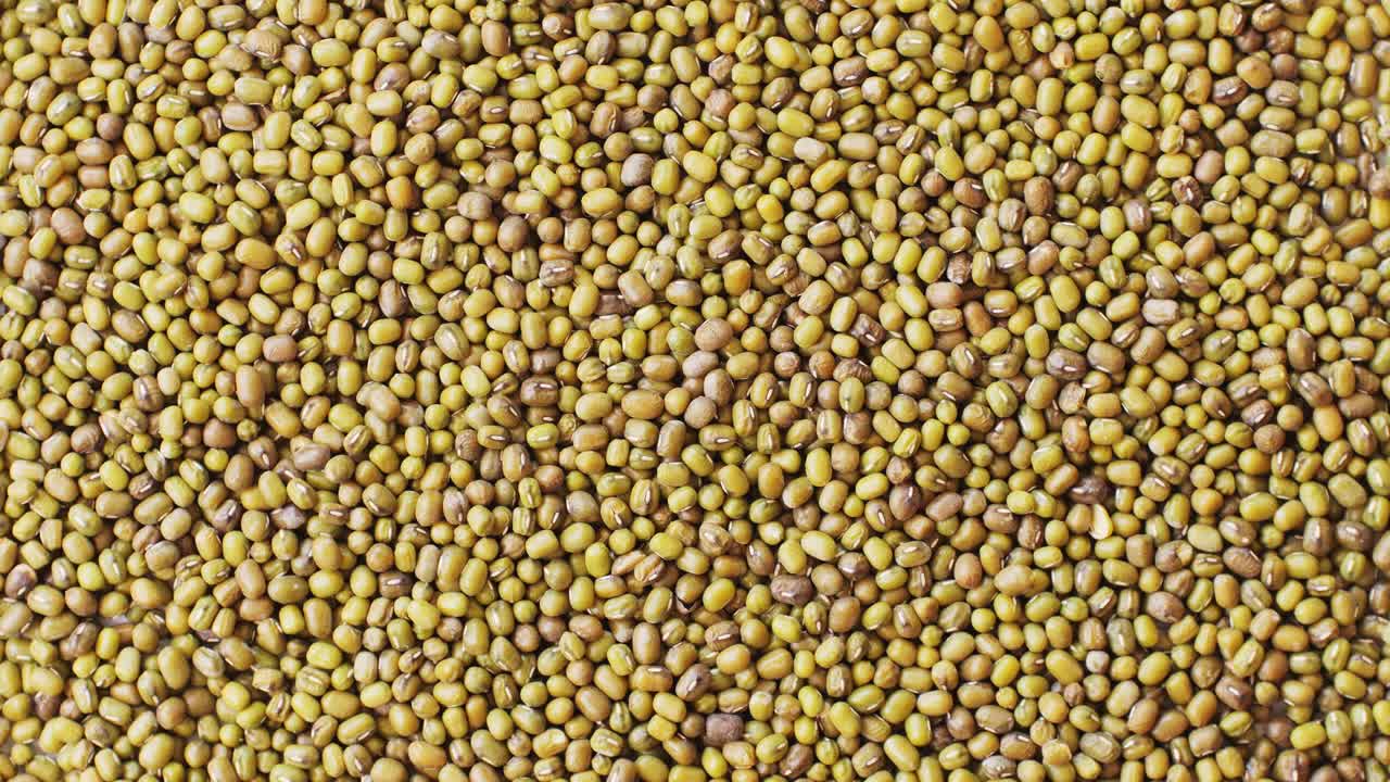 Pile of Mung Beans