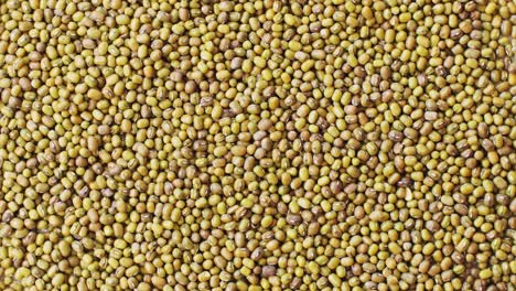 pile of mung beans