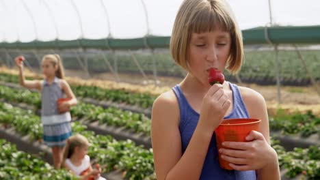 girl eating strawberry in the farm 4k