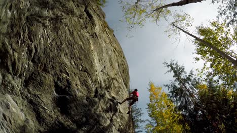 rock climber climbing the cliff in the forest 4k