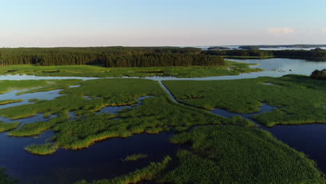 drone footage of green sea landscape with vegetation