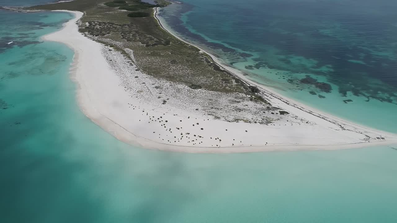 로스 로케스, 카리브해