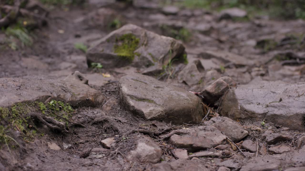 산책길 을 고 있는 사람