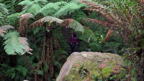 Indigenous-Australian-girl-hiking-through-the-Blue-Mountains,-NSW-Australia