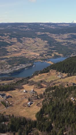 vertical aerial shot captures a rural norwegian valley with a river surrounded by dense forest and open fields. scattered houses rest on the slopes, with a snow-capped mountain visible on the horizon.