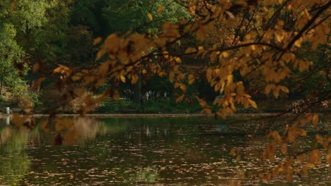 Rama-De-árbol-De-Otoño-Al-Lado-Del-Lago-Fuera-De-Foco-Con-Gente-En-El-Fondo-Del-Lago