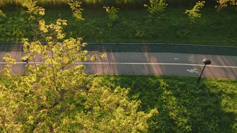 park bike path with people