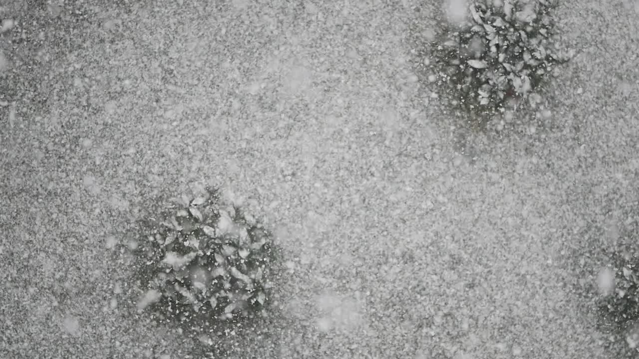 paisaje nevado de invierno