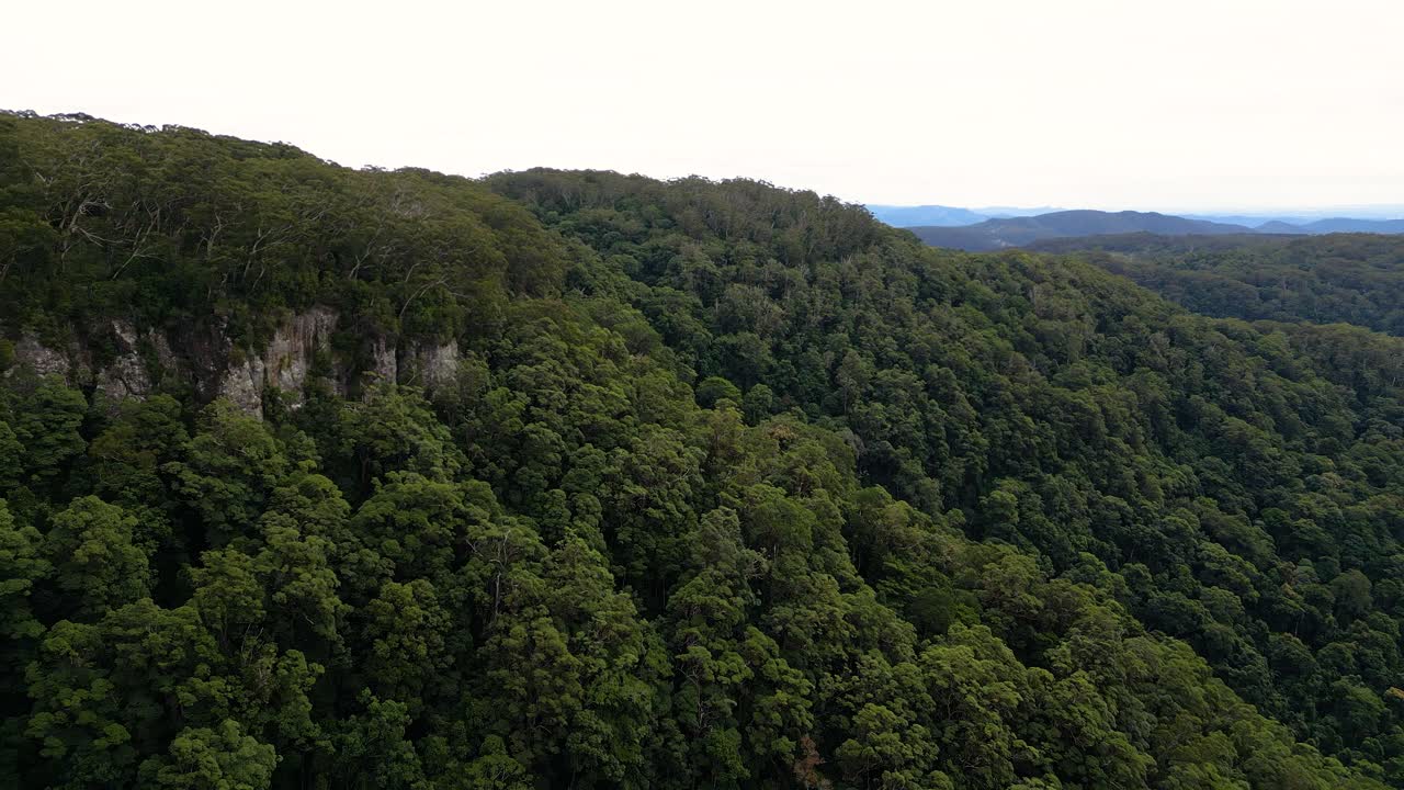 vista aérea en movimiento hacia adelante sobre la sección superior de las cataratas gemelas caminar en el parque nacional de springbrook, gold coast hinterland, queensland, australia