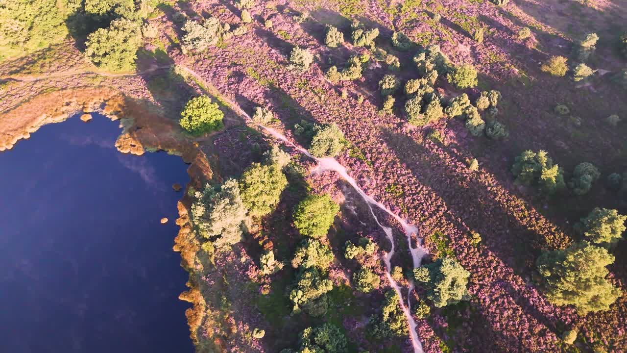 Aerial View of a Lake and Heather Landscape with a Winding Path