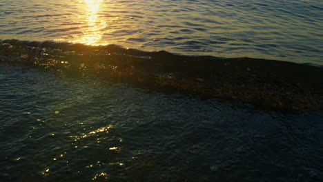 closeup calm ocean waves splashing beach sand at sunrise morning. blue sea waves