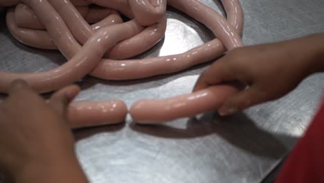 Wurst-Fleisch-Prozess-Fabrik-Produktion-Handgemacht-Geräuchert-Gekocht-Wrap-Hackfleisch-Gewürz