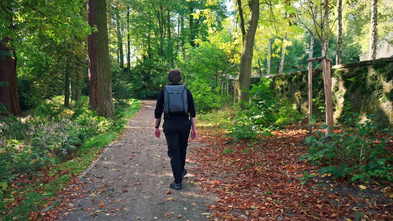 las primeras hojas de otoño caídas en el suelo