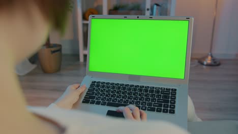 close-up slow motion of female hands using laptop with green screen in dark apartment