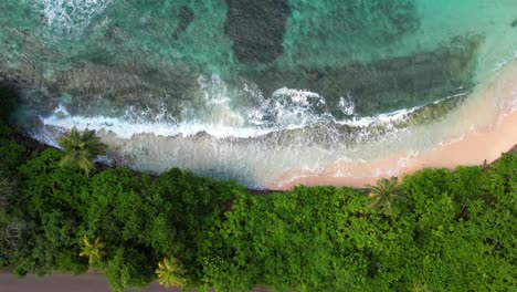 drone footage of white sandy beach, trees near the beach, turquoise water near the road, passing vehicle, mahe, seychelles 60fps